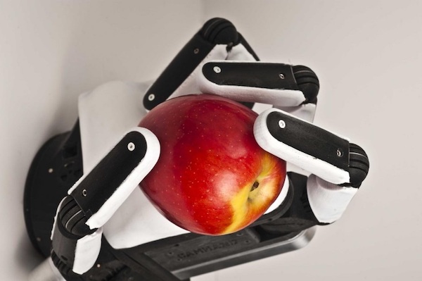 Image of a soft-gripper robot holding an apple