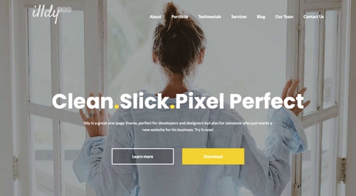 13 One-Page WordPress Themes for Startups, Products, More