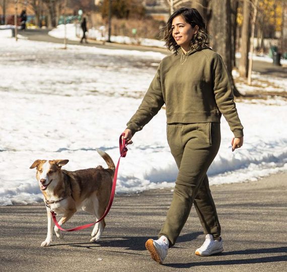 Photo of a female walking a dog by a park