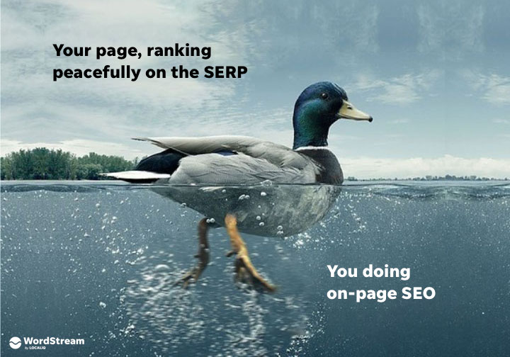 The Complete, Visual Guide to On-Page SEO in 2022 (With Templates!)