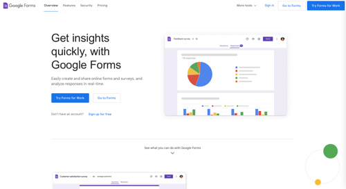 Screenshot of Google Forms.