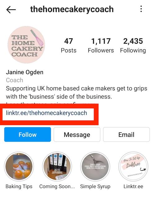 Screenshot of @thehomecakerycoach's Instagram’s bio page.