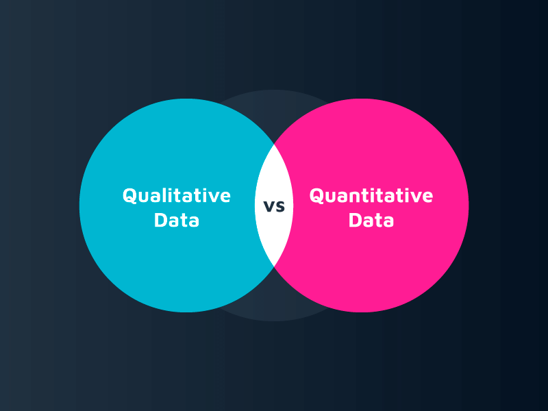 Marketer’s Guide- Key Differences Between Qualitative Data And Quantitative Data