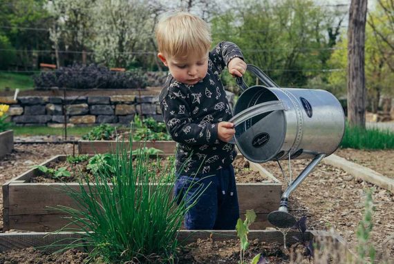 Photo of a boy in a garden pouring water on plants