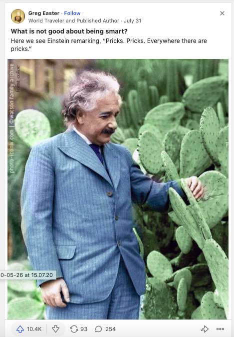 Screencapture from Quora showing a photo of Einstein with his quote "Pricks. Pricks. Everywhere there are pricks."