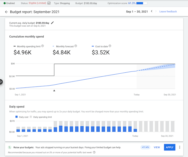 google ads budget report screenshot