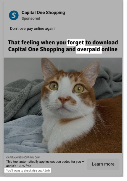 emotional ad copy examples - capital one's facebook ad with a panicked cat